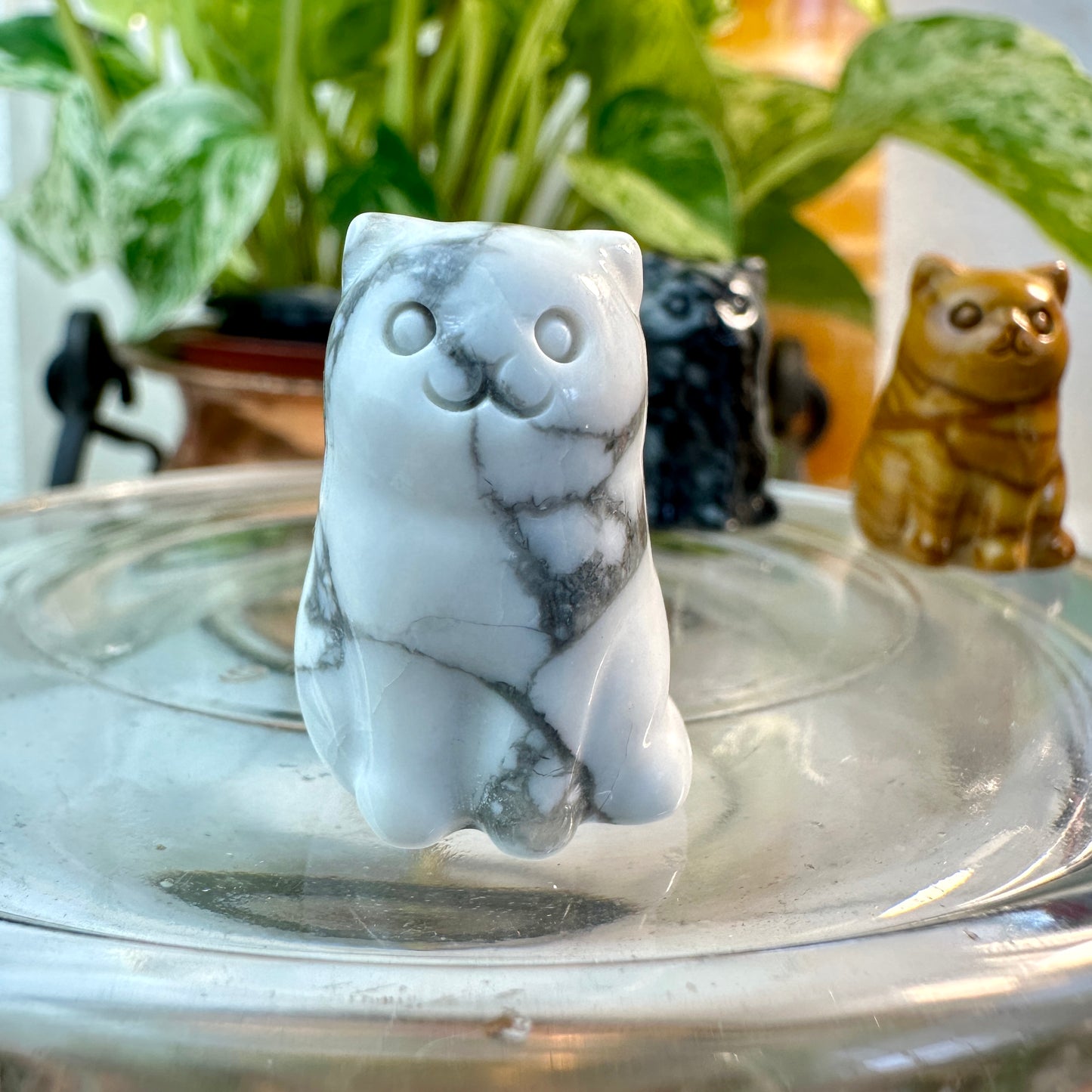✨ Mini Crystal Fluffy Cats — Carved in Yellow Jasper, Obsidian, Howlite, Red Vein Jasper, Spiderweb Jasper & Aura Rose Quartz ✨
Adorable Companions • Pocket-Sized Joy • Energy-Infused Decor
