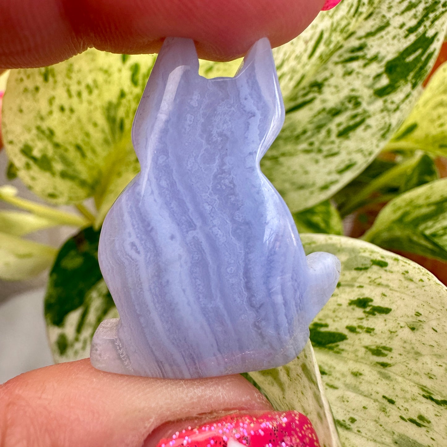 Blue Lace Agate Cat - Katie's Mystic Crystals