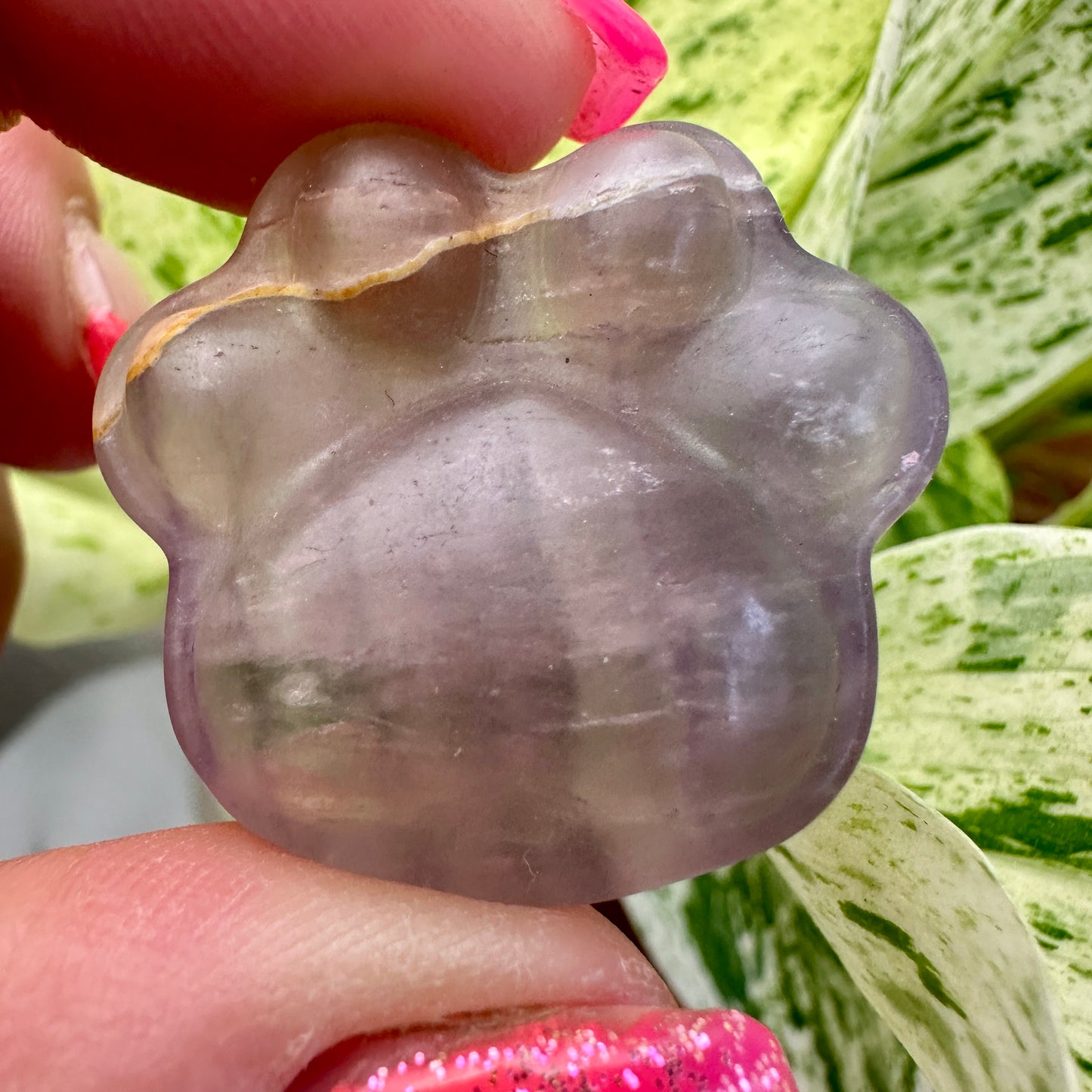 Crystal Pet Paw