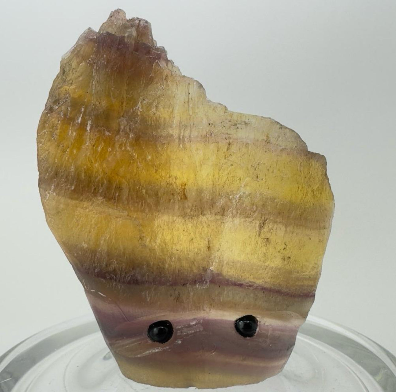 Crystal Critters - Specimen