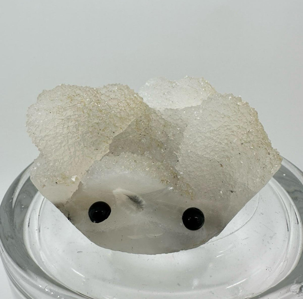 Crystal Critters - Specimen