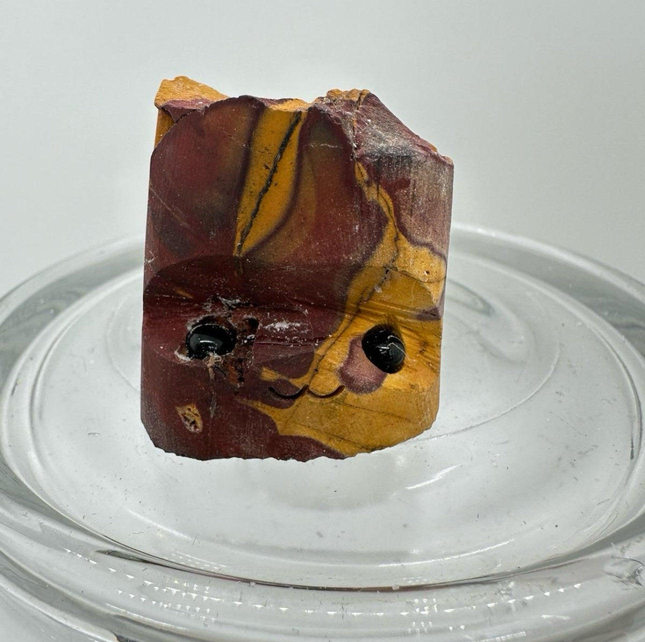 Crystal Critters - Specimen