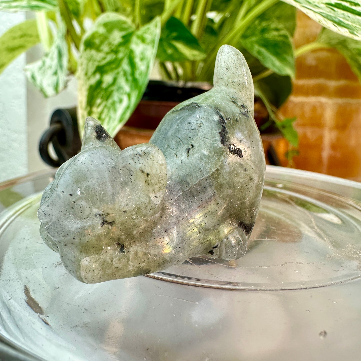 Mini Crystal Cats — 0.25 to 2 inches Whimsy | Protection | Energy Companions