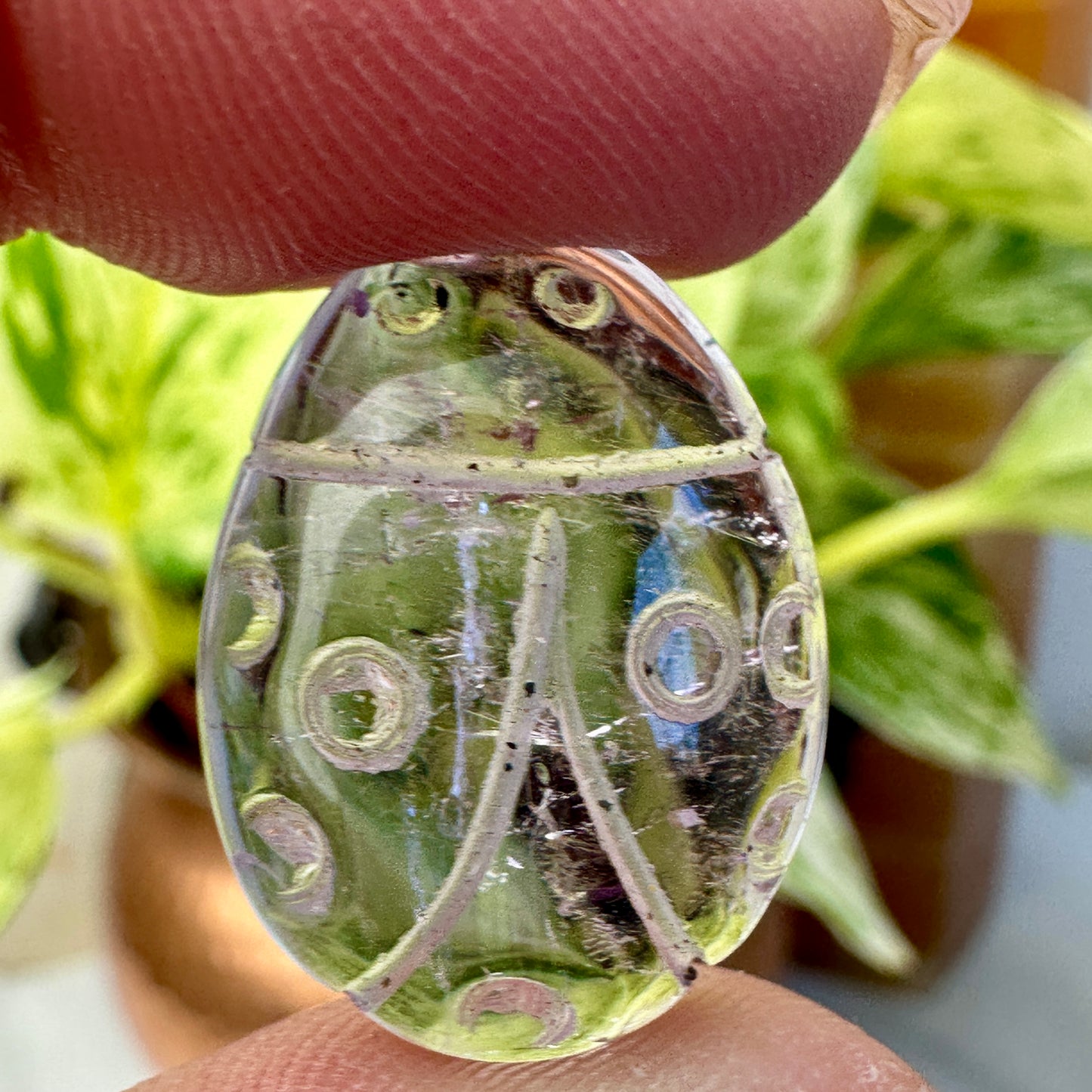 Imperfect Amethyst Lady Bugs