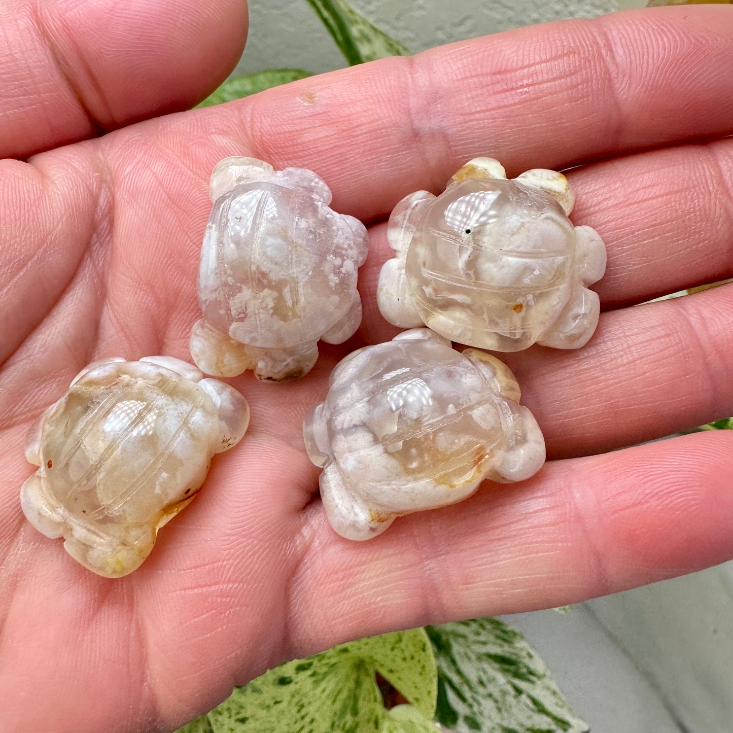 Mini Flower Agate Crabs - 1 inch - Katie's Mystic Crystals