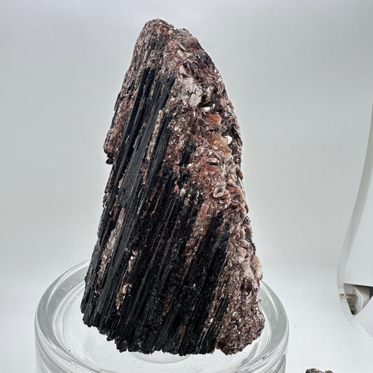 Black Tourmaline and Golden Mica Specimen - Katie's Mystic Crystals