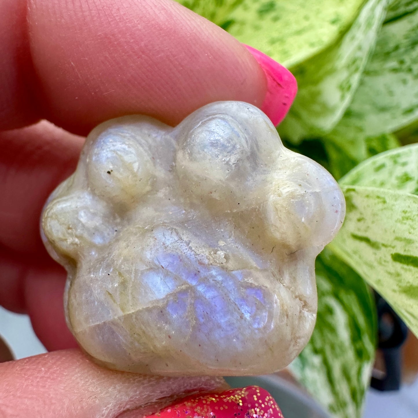 Crystal Pet Paw