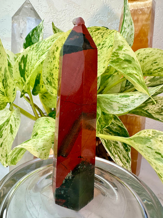 African Bloodstone Point — 4.7 inch
Courage | Strength | Grounded Vitality