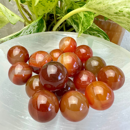 Mini Carnelian Spheres - 20mm