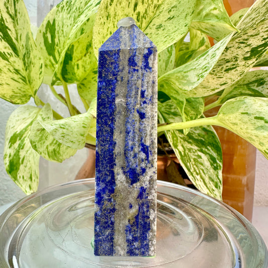 Lapis Lazuli Tower — 3.4 inch
Wisdom | Truth | Inner Vision
✨ Imperfect — Small Chip on Corner ✨