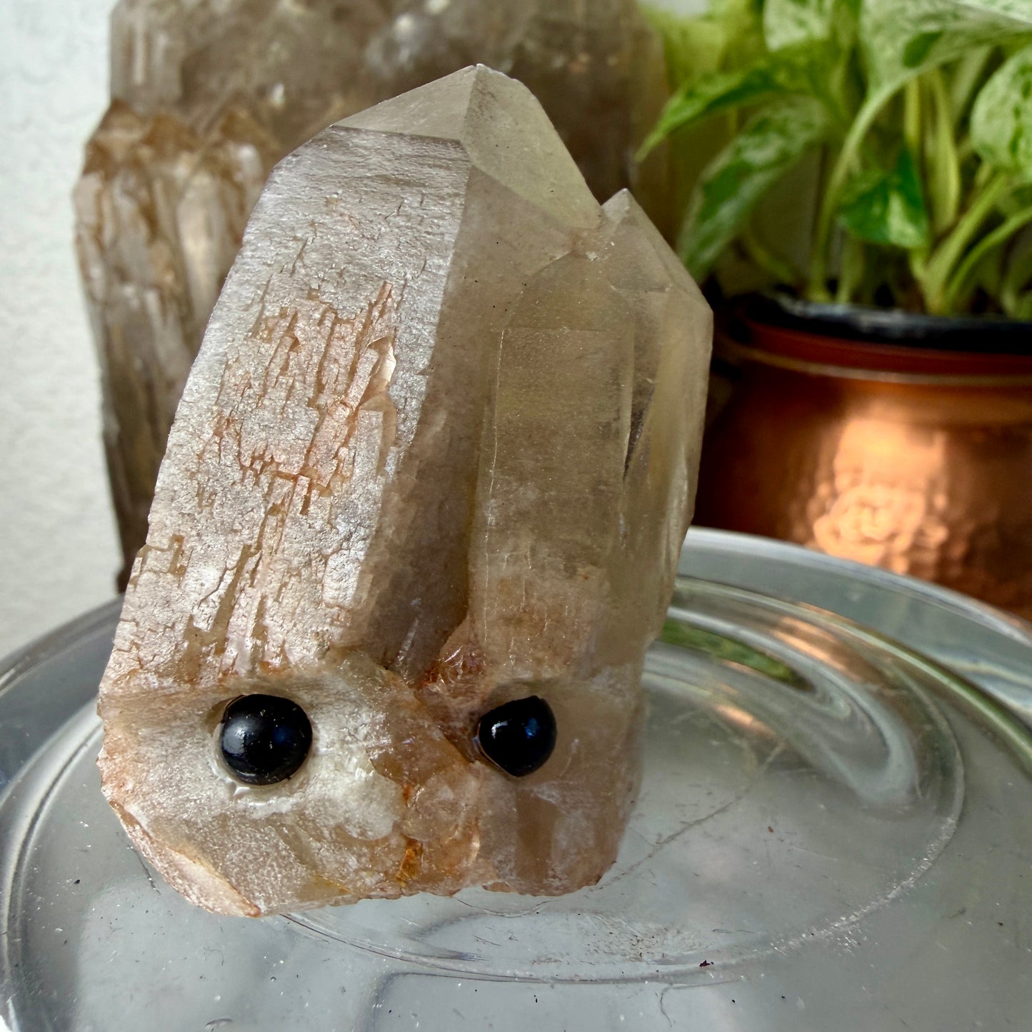 Crystal Critters - Specimen