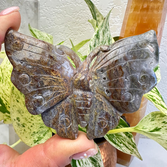 Moss Agate Butterflys - Intuitive Pick - 3.6 inch wingspan - Katie's Mystic Crystals