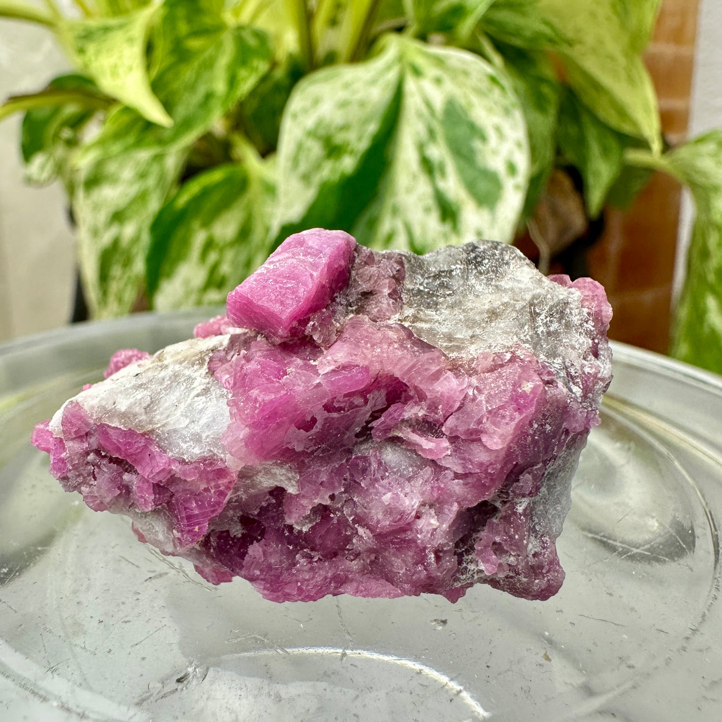 Ruby & Blue Kyanite Raw Specimen – Inner Strength + Intuition + Chakra Alignment (34g)