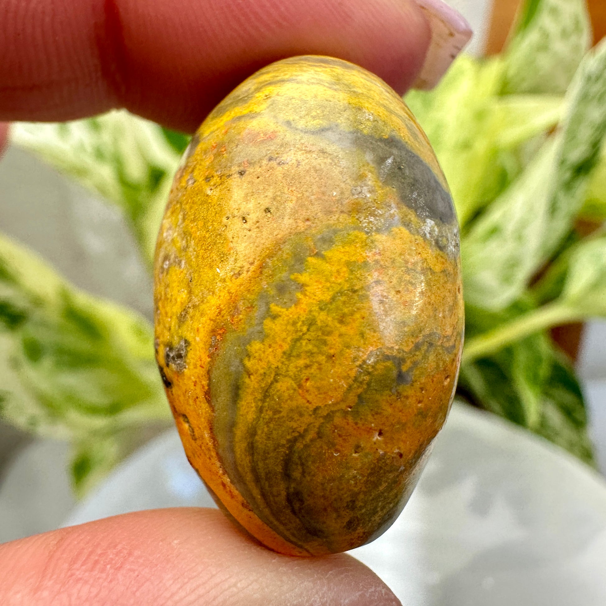 Bumblebee Jasper Tumbles - Katie's Mystic Crystals