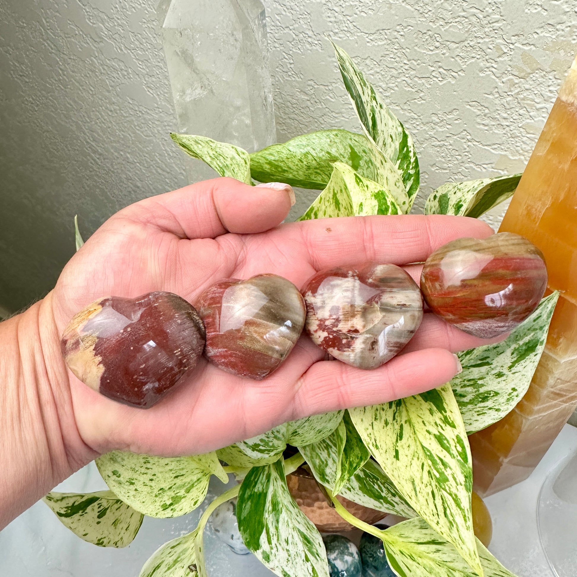 Petrified Wood Hearts - 1.2-1.5 Inch - Katie's Mystic Crystals