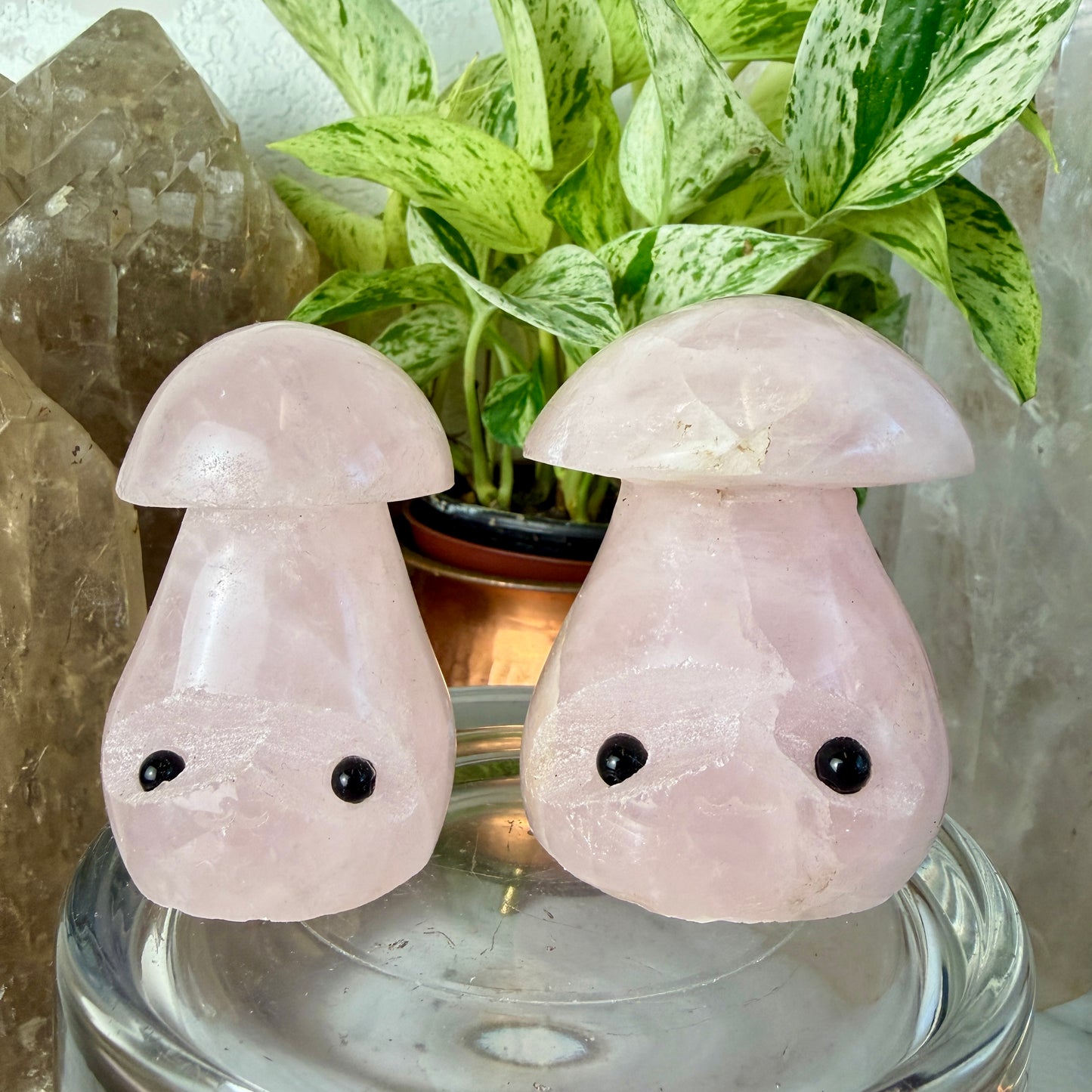 Katie’s Crystal Critters