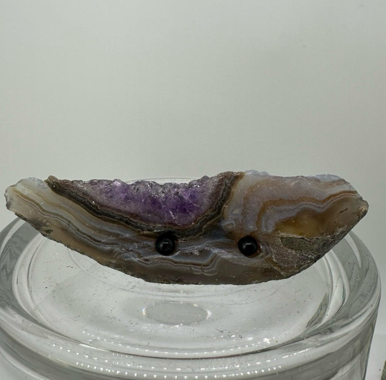 Crystal Critters - Specimen