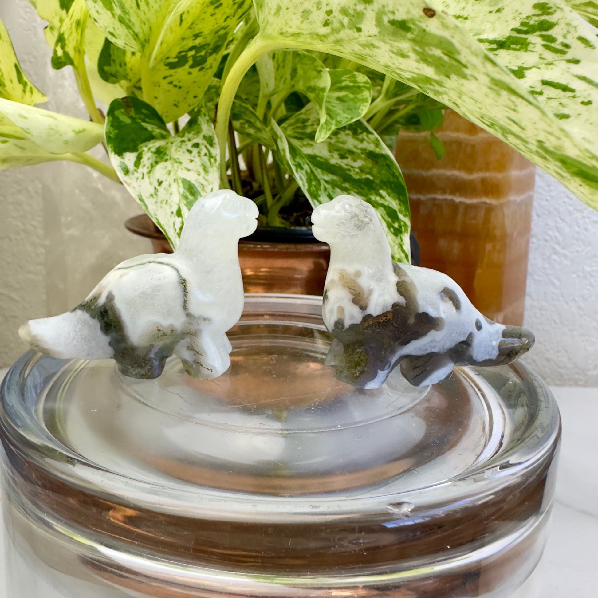 Moss Agate Long Neck Dino - Katie's Mystic Crystals