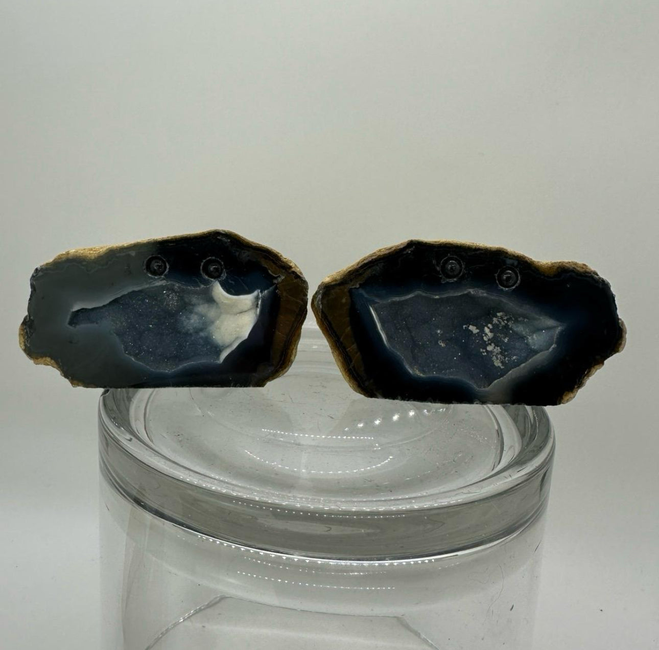 Crystal Critters- Geodes