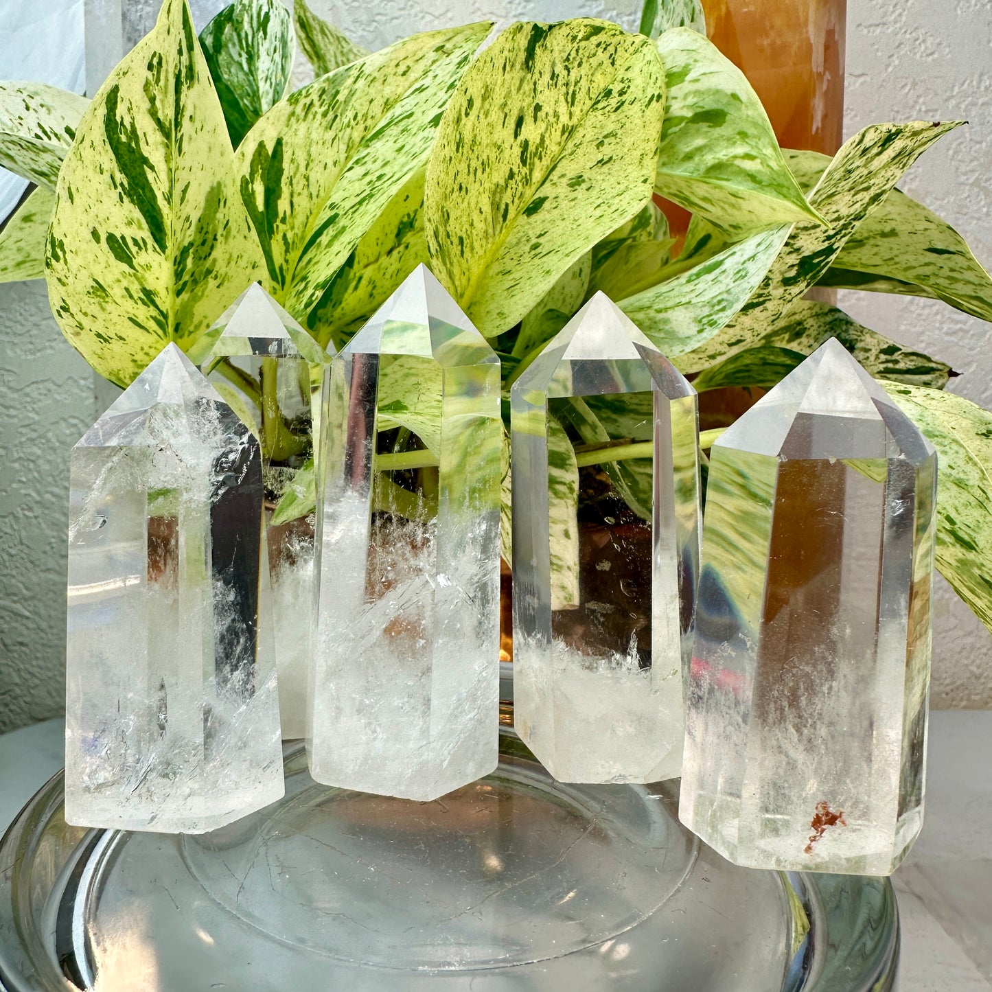 Clear Quartz Points — 2.6 to 3 inch (High Quality)
Amplification | Clarity | Master Healer - Katie's Mystic Crystals