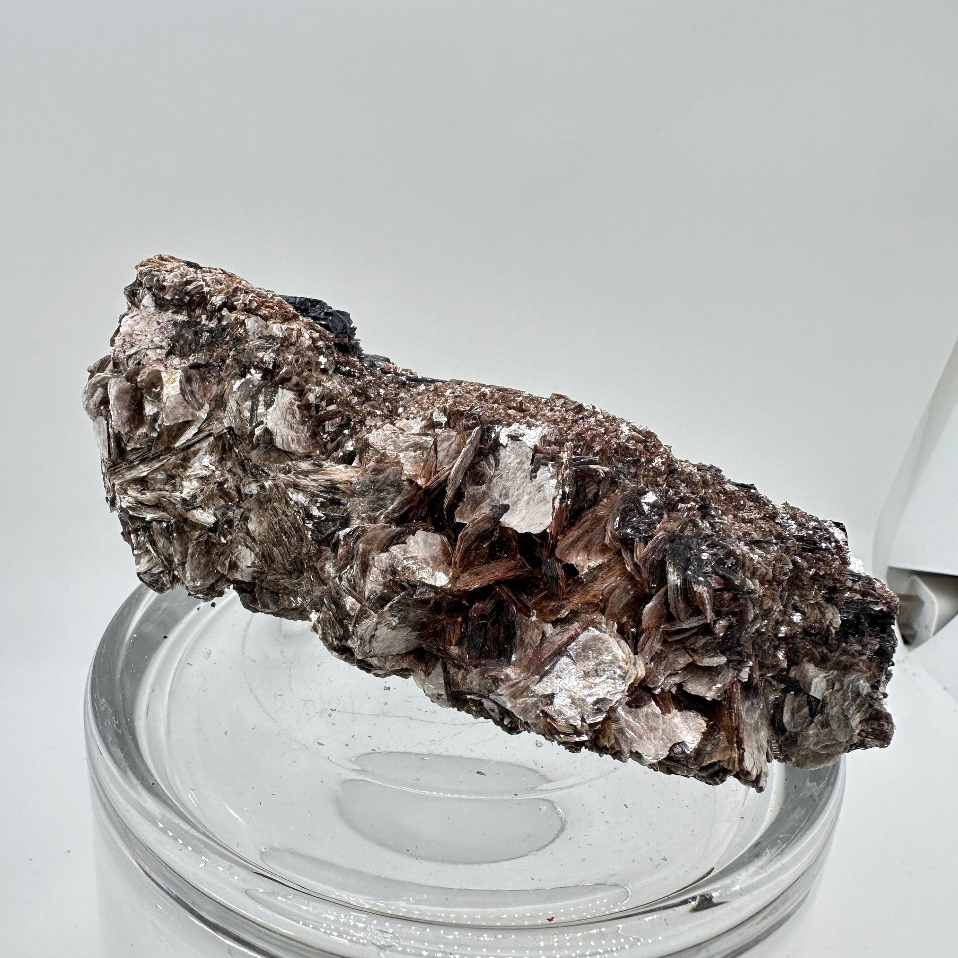 Black Tourmaline and Golden Mica Specimen - Katie's Mystic Crystals