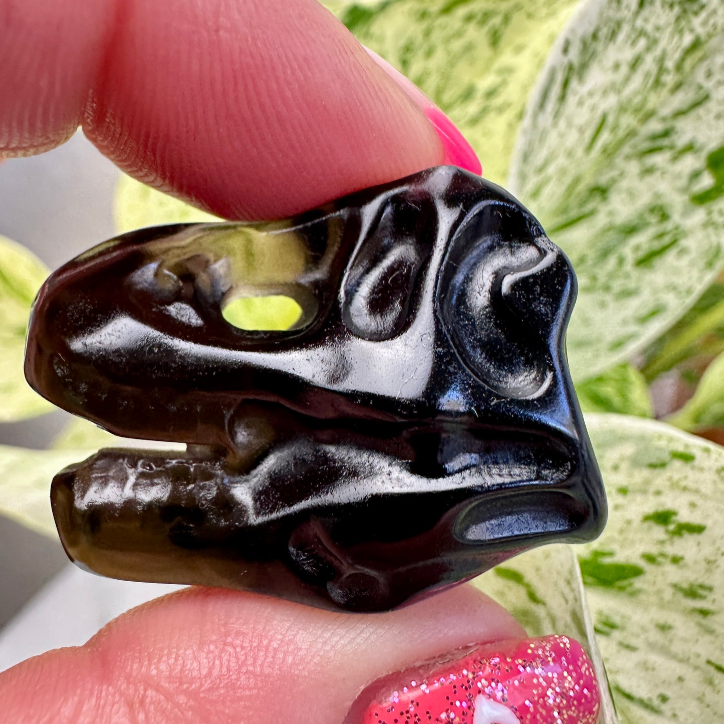 Crystal T-Rex Skulls