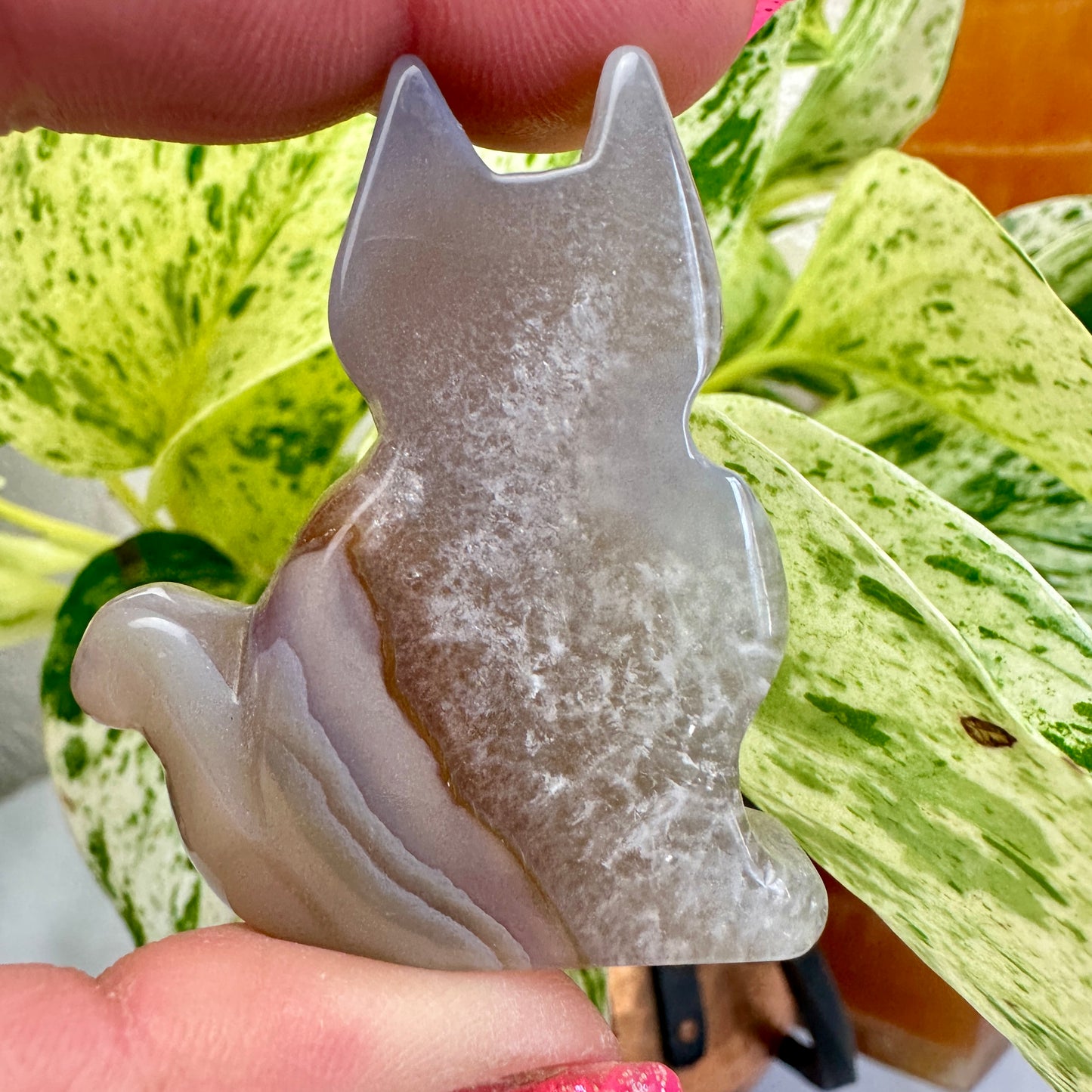 Agate Slab Cat
