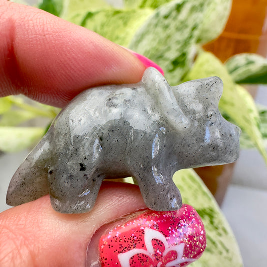Mini Labradorite Triceratops