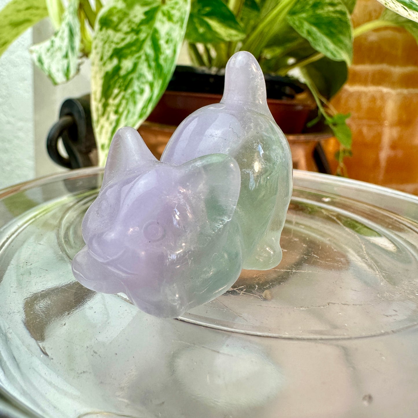 Mini Crystal Cats — 0.25 to 2 inches Whimsy | Protection | Energy Companions