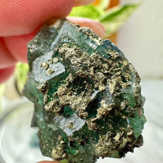 Cubic Blue-Green Fluorite with Natural Pyrite Specimens — Energetic Alchemy in Crystal Form