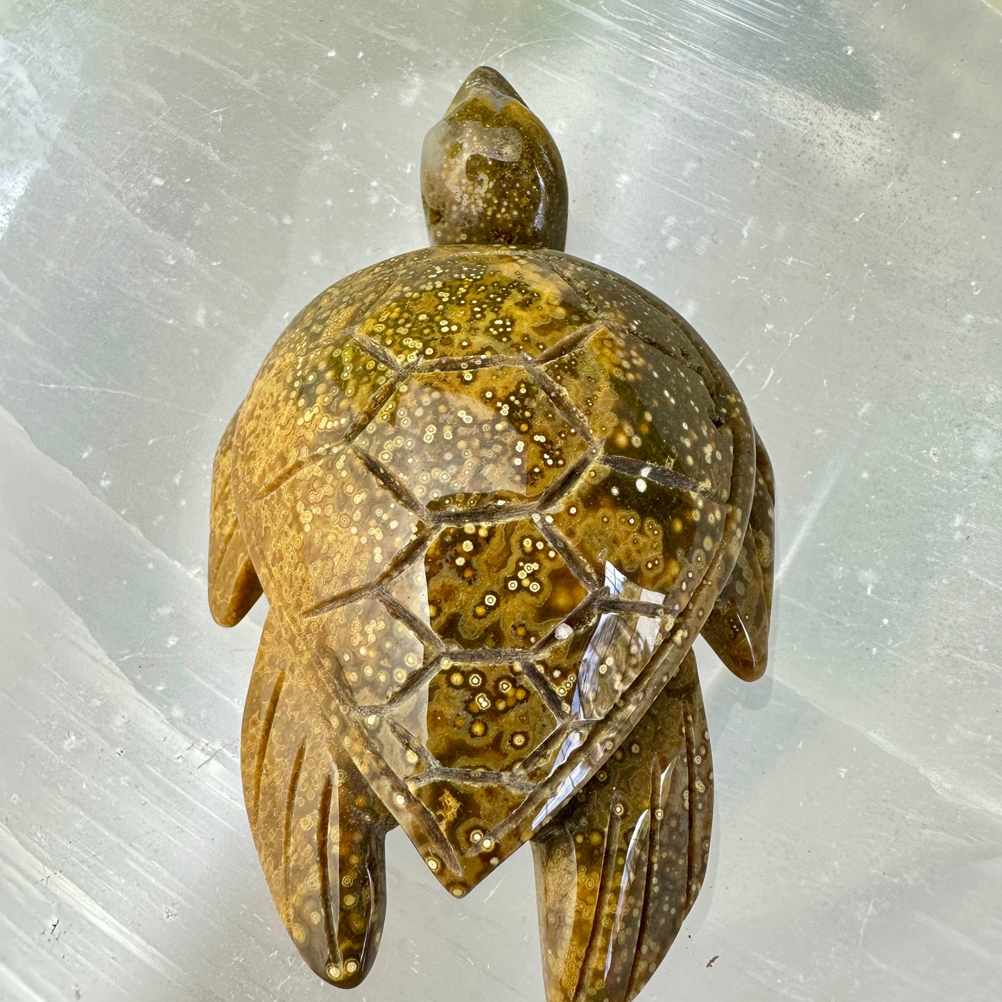 Orbicular Jasper Sea Turtle — 3.4 inch
Patience | Protection | Emotional Flow