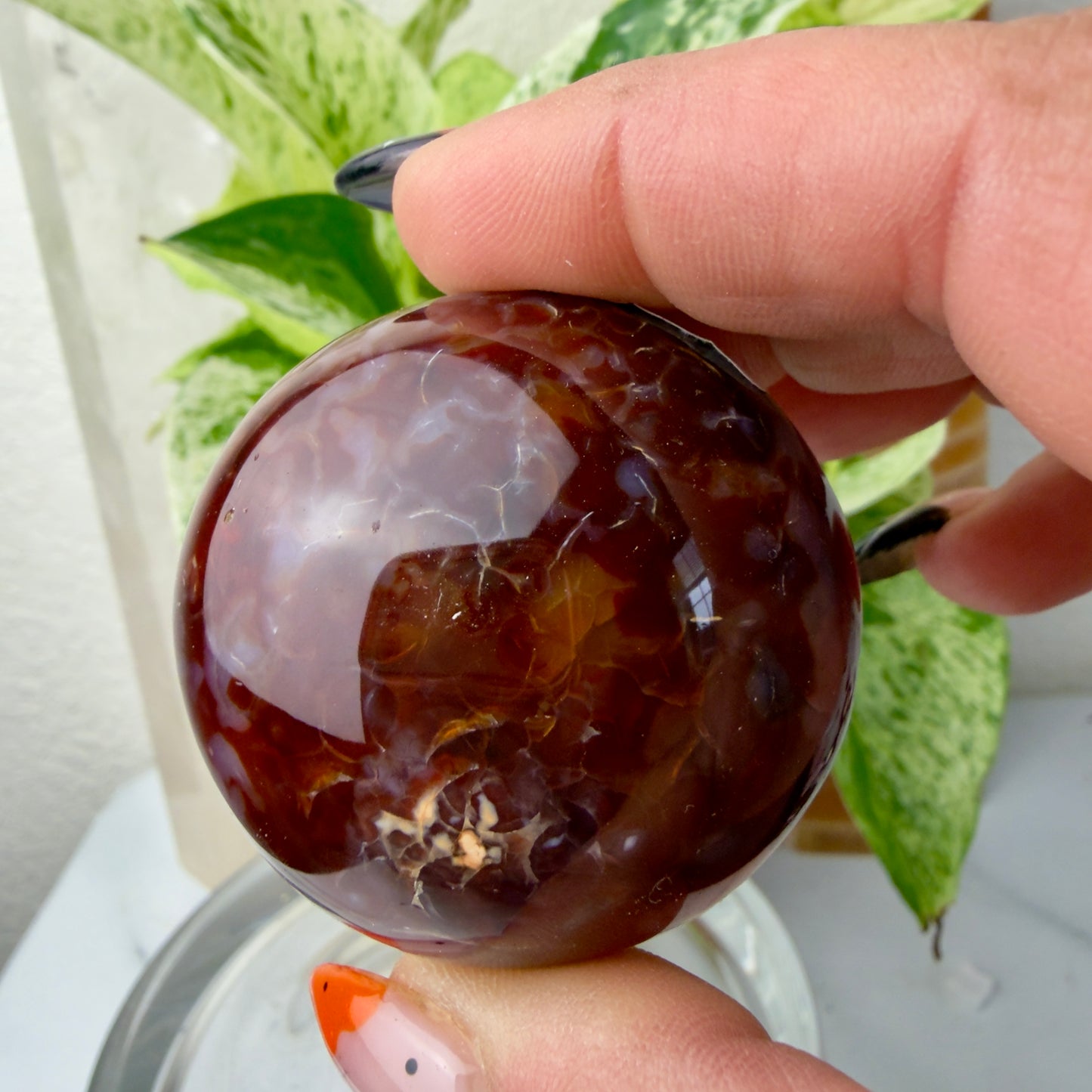 Carnelian Agate Palm Stones – Grounding Energy & Creative Fire (1.8–2”)