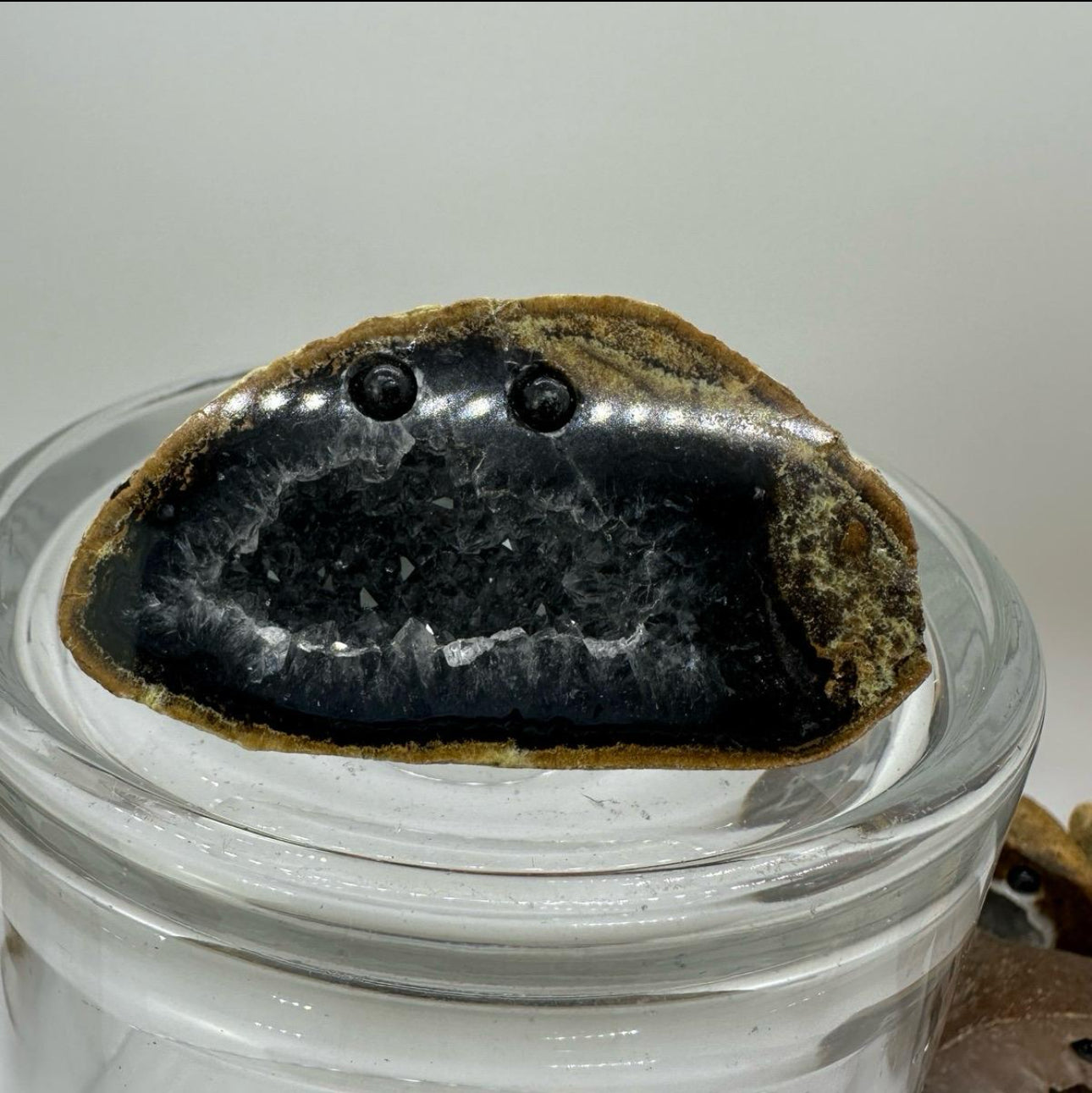 Crystal Critters- Geodes