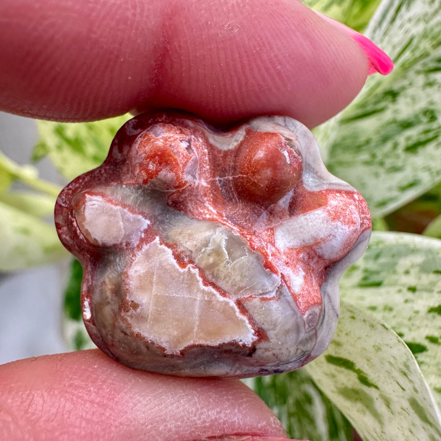 Crystal Pet Paw