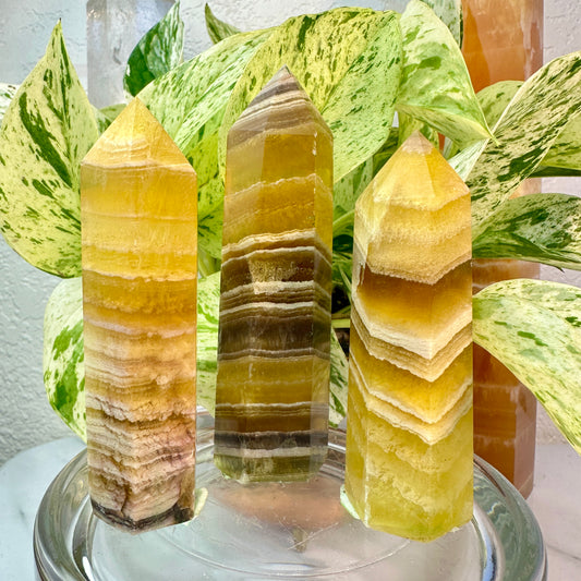 Banded Yellow Fluorite Points — 3.5 to 4 inch
Confidence | Focus | Mental Clarity