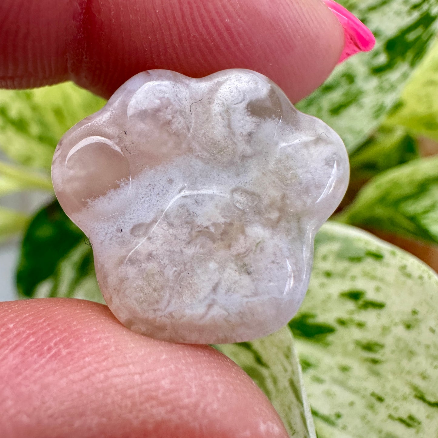 Mini Flower Agate Pet Paw
