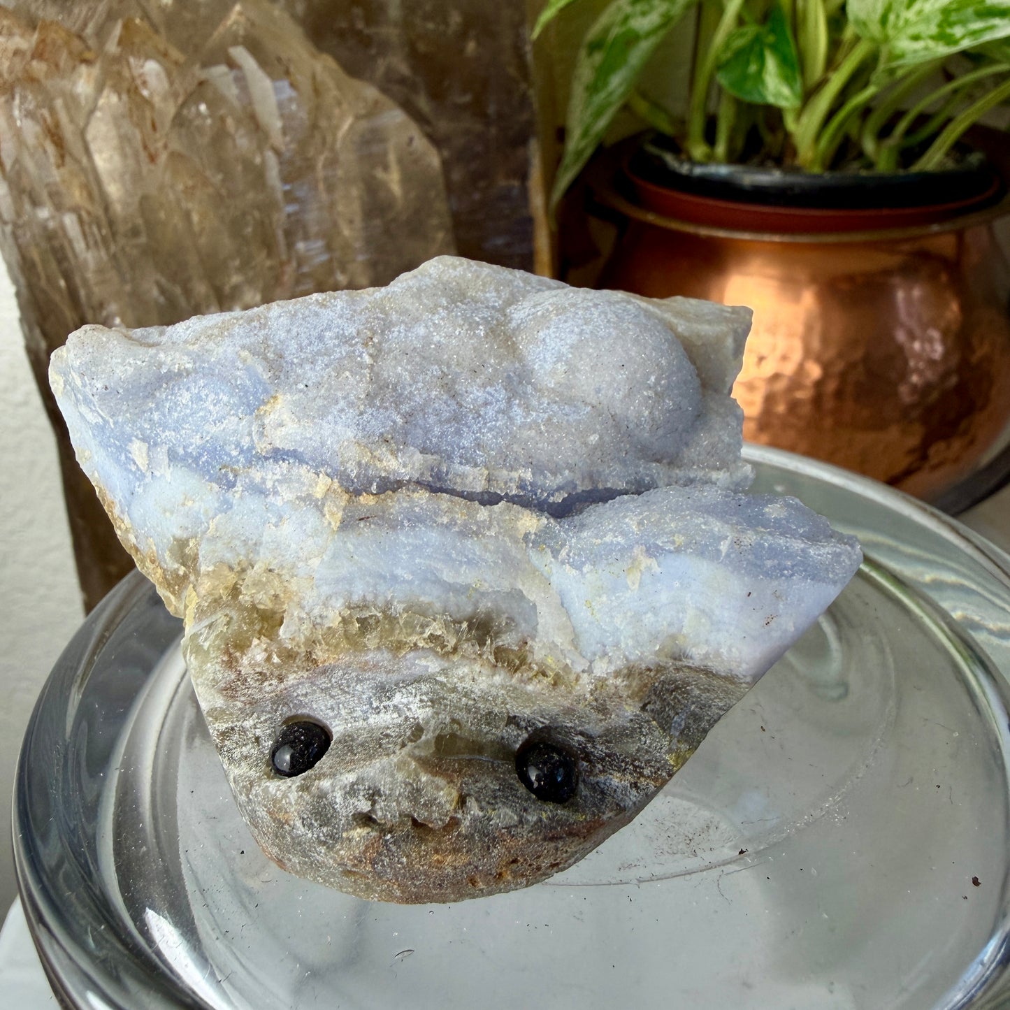 Crystal Critters - Specimen