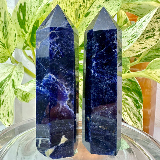 High Grade Sodalite Points — 3.4 inch
Truth | Intuition | Mental Clarity