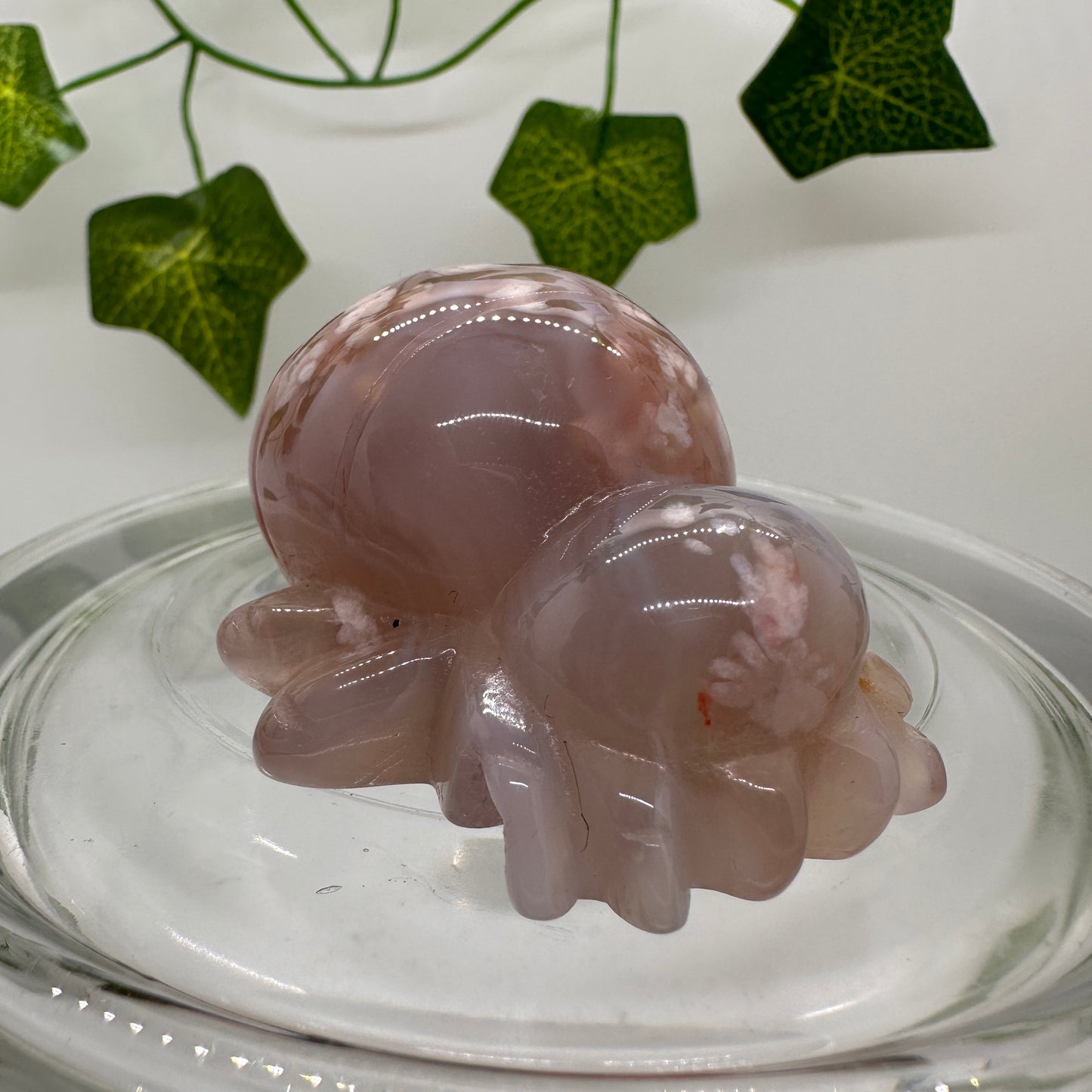 Flower Agate Spider - Katie's Mystic Crystals