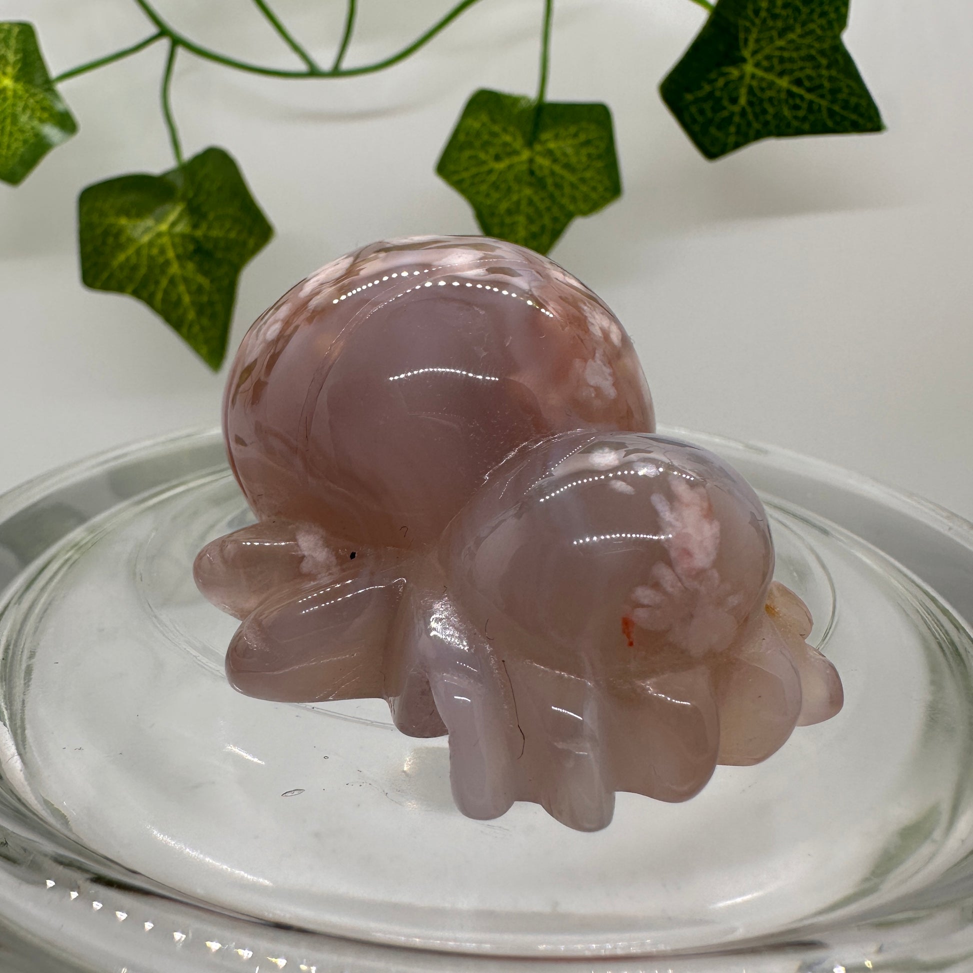 Flower Agate Spider - Katie's Mystic Crystals