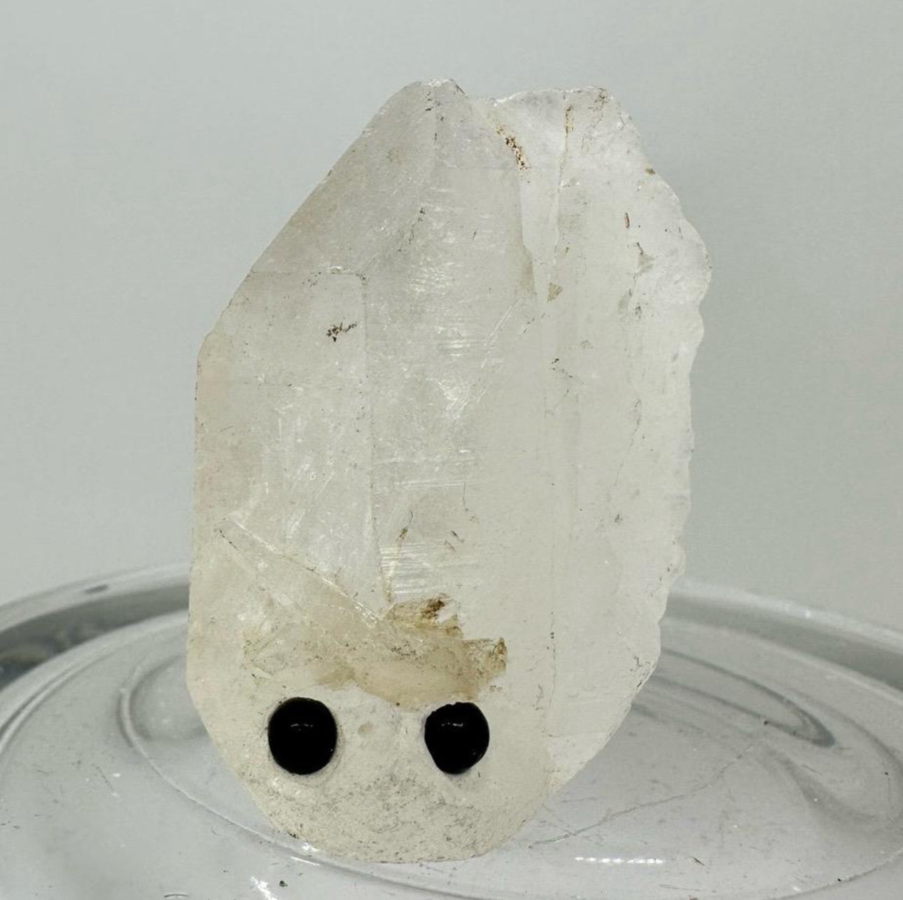 Crystal Critters - Specimen