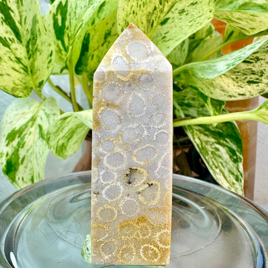Coral Jasper Tower — 2.8 inch
Grounding | Vitality | Earth Connection