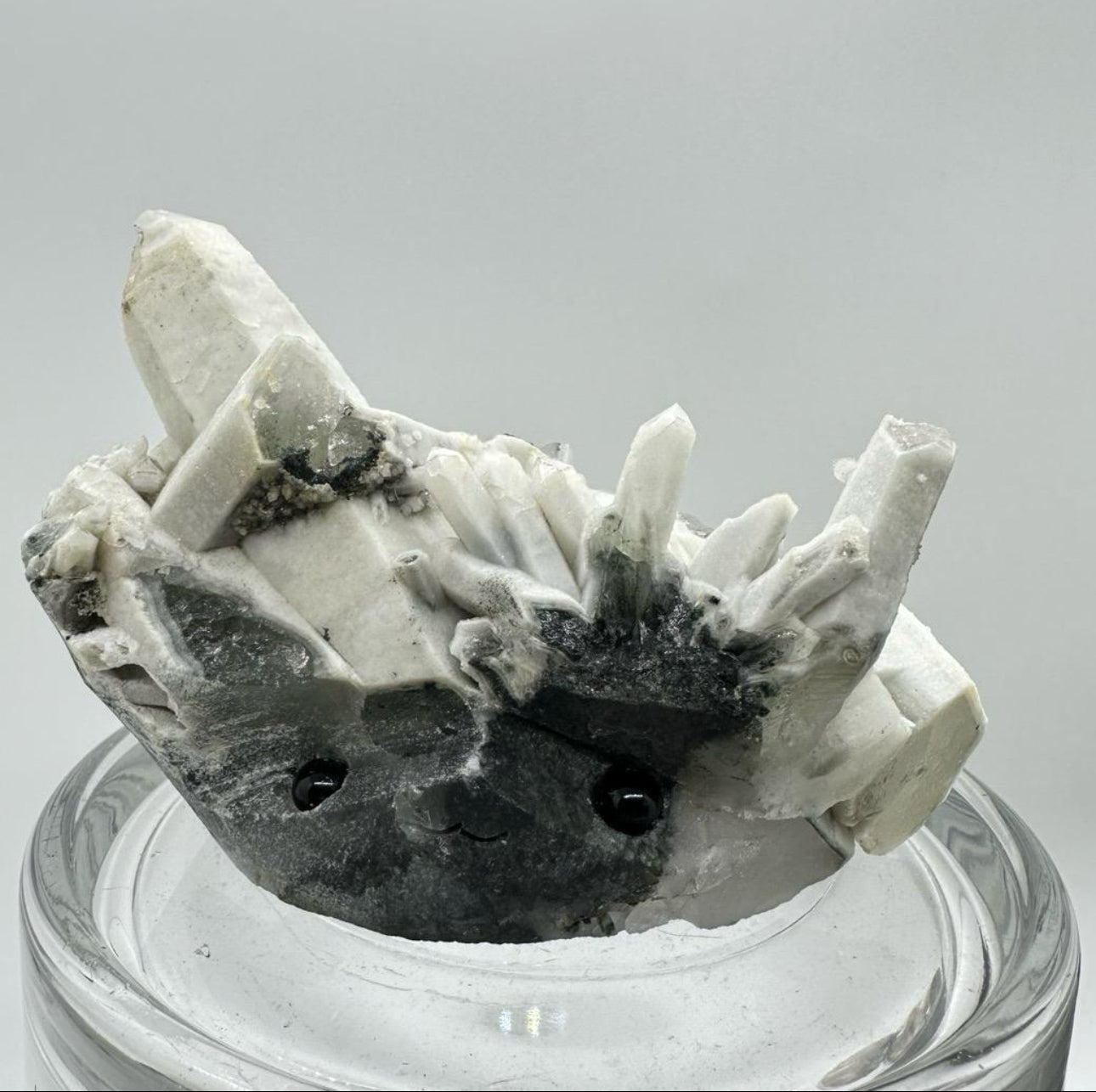 Crystal Critters - Specimen