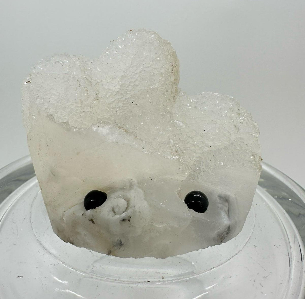 Crystal Critters - Specimen