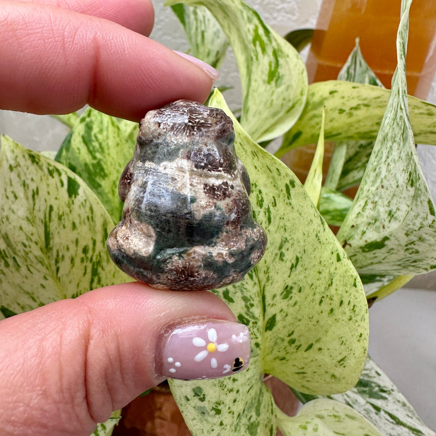 Flower Rhyolite Toad - 1.3 inch - Katie's Mystic Crystals