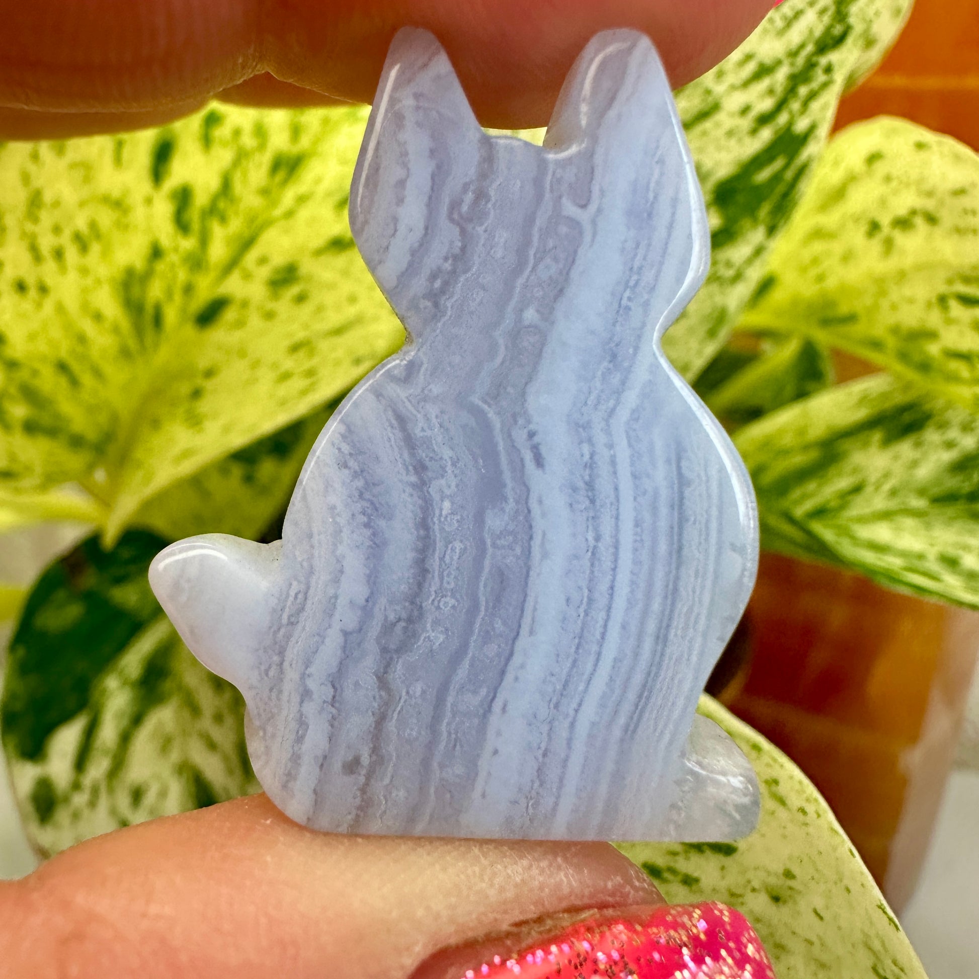 Blue Lace Agate Cat - Katie's Mystic Crystals
