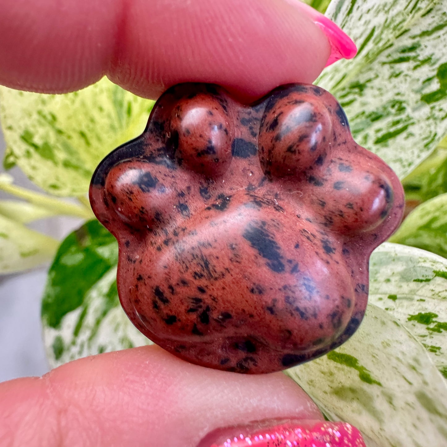 Crystal Pet Paw