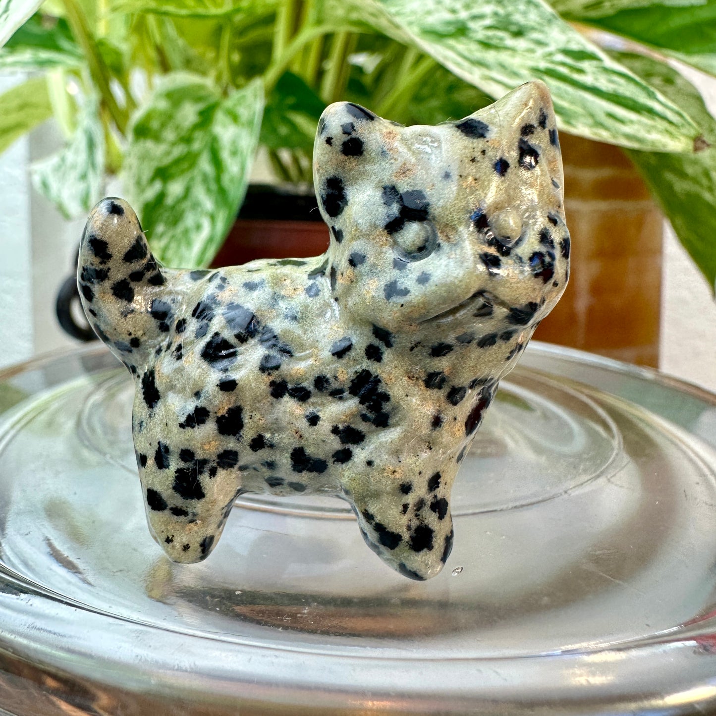 Mini Crystal Cats — 0.25 to 2 inches Whimsy | Protection | Energy Companions