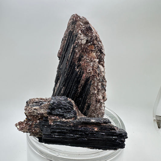 Black Tourmaline and Golden Mica Specimen - Katie's Mystic Crystals