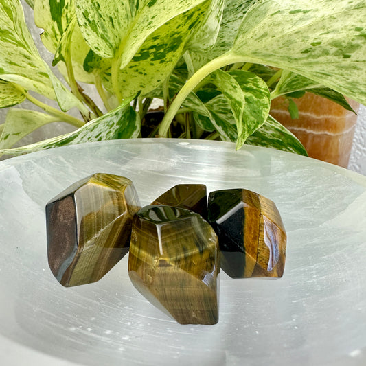 Tigers Eye Gusher